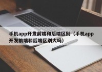 手机app开发前端和后端区别（手机app开发前端和后端区别大吗）