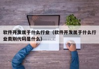 软件开发属于什么行业（软件开发属于什么行业类别代码是什么）