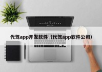 代驾app开发软件（代驾app软件公司）