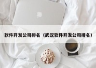 软件开发公司排名（武汉软件开发公司排名）