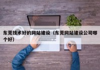 东莞技术好的网站建设（东莞网站建设公司哪个好）