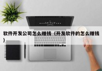 软件开发公司怎么赚钱（开发软件的怎么赚钱）