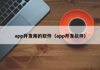 app开发用的软件（app开发软件）