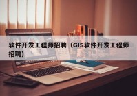 软件开发工程师招聘（GIS软件开发工程师招聘）