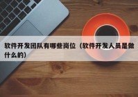 软件开发团队有哪些岗位（软件开发人员是做什么的）