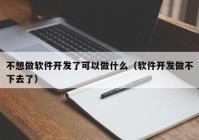 不想做软件开发了可以做什么（软件开发做不下去了）