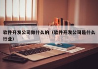 软件开发公司做什么的（软件开发公司是什么行业）