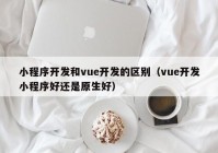 小程序开发和vue开发的区别（vue开发小程序好还是原生好）