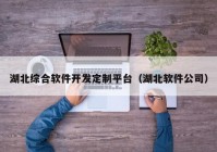 湖北综合软件开发定制平台（湖北软件公司）