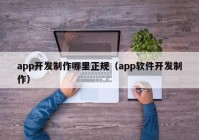 app开发制作哪里正规（app软件开发制作）