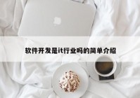 软件开发是it行业吗的简单介绍