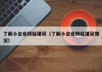 了解小企业网站建设（了解小企业网站建设情况）